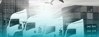 Transport mediums: plane, cargo, truck.